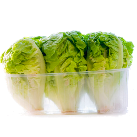 Corazones de lechuga 